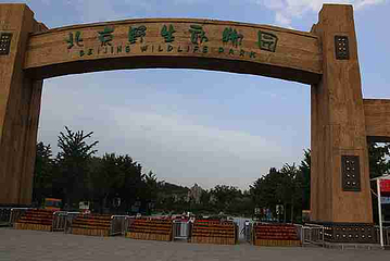 北京野生动物园第 397 张图片