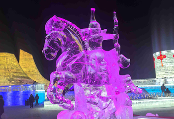 哈尔滨冰雪大世界第 471 张图片