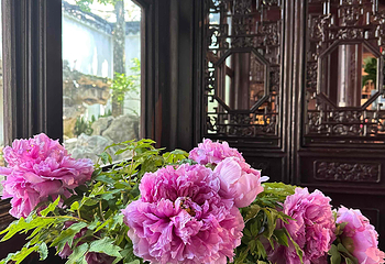 网师园第 88 张图片