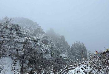 黄山风景区第 292 张图片