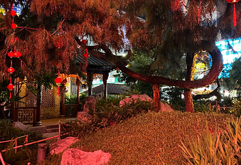 大佛古寺第 86 张图片