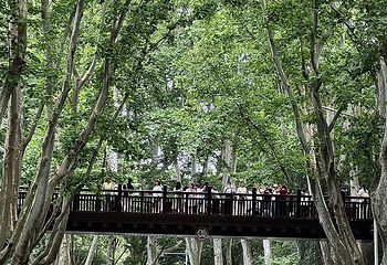 钟山风景名胜区第 140 张图片