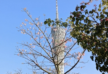 海心沙亚运公园第 114 张图片