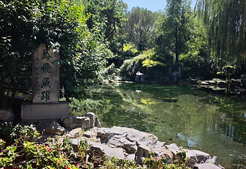 趵突泉景区第 150 张图片