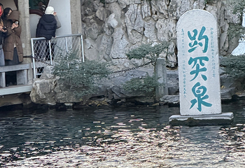 趵突泉景区第 238 张图片