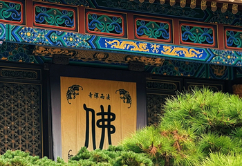 普陀山风景区第 87 张图片