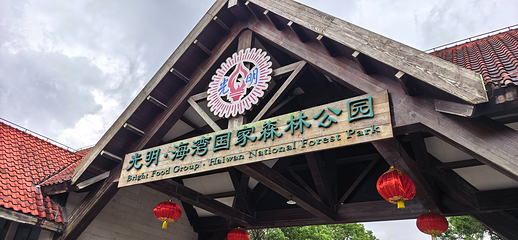 上海海湾国家森林公园第 28 张图片
