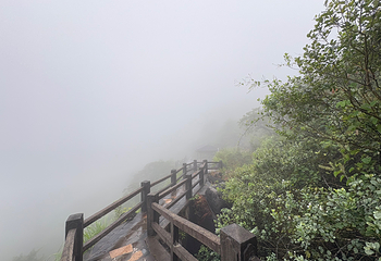 玉石林风景区第 37 张图片