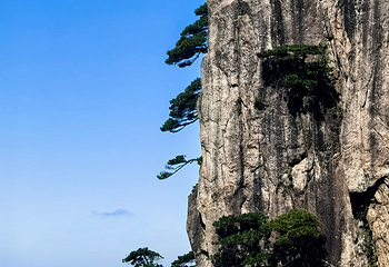 黄山风景区第 350 张图片