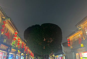 三坊七巷第 83 张图片