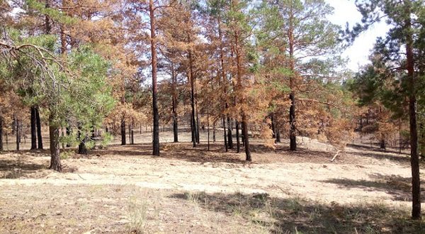 Spot Shul'binskaya Bukhta