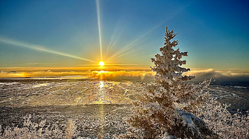 Kincaid Park Jodhpur