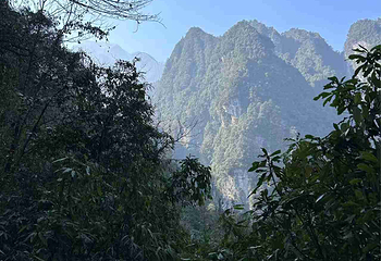 峨眉山第 309 张图片