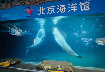 北京海洋馆第 101 张图片