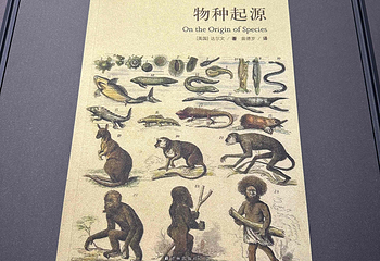 辽宁朝阳鸟化石国家地质公园第 76 张图片