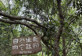 伏那秘境第 38 张图片