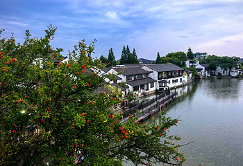 朱家角古镇景区第 33 张图片
