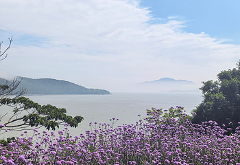 朱家尖大青山景区第 33 张图片