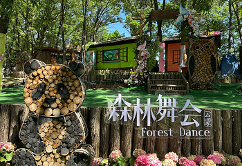沂蒙山云蒙景区(蒙山国家森林公园)第 17 张图片