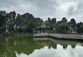 石林风景区第 261 张图片