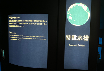 大阪海游馆第 76 张图片
