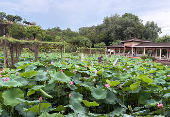 莲花山旅游区第 14 张图片
