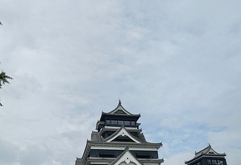 熊本城第 27 张图片