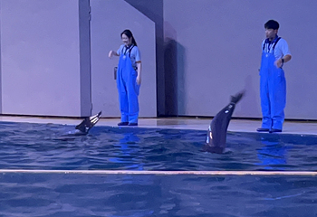 济州岛Aqua Planet水族馆第 97 张图片