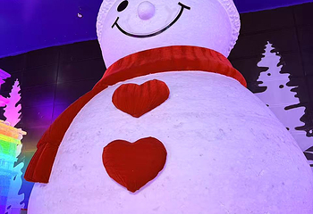 哈尔滨冰雪大世界第 397 张图片