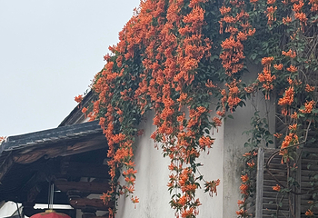三坊七巷第 64 张图片