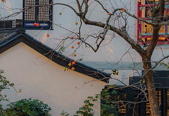 山塘街第 124 张图片