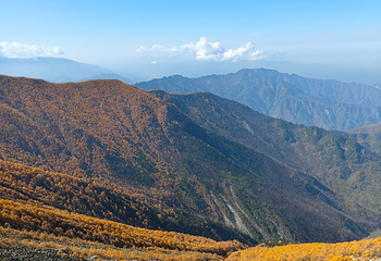 太白山国家森林公园第 53 张图片