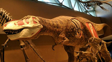 四海恐龙博物馆