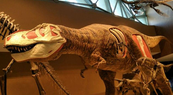 四海恐龙博物馆