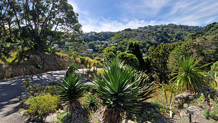 惠灵顿植物园第 14 张图片