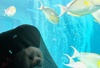 箱根园水族馆第 21 张图片