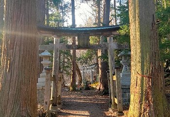 十和田神社第 9 张图片