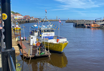 Whitby Beach第 11 张图片