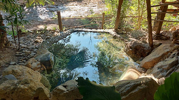 Chiang Dao Hot Springs
