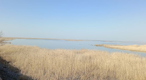 Doroga Po Sredi Ozera