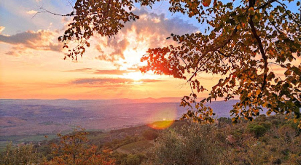Belvedere di Montalcino