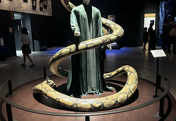东京哈利波特制片厂之旅第 204 张图片
