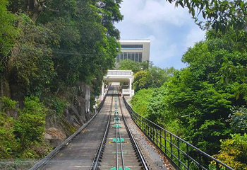 太平山顶第 195 张图片
