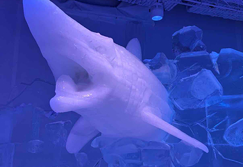 阿尔卑斯雪世界第 418 张图片
