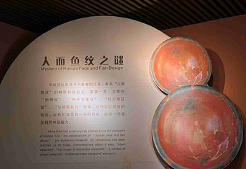 西安半坡博物馆第 105 张图片