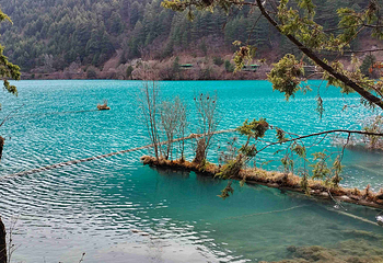 九寨沟风景区第 435 张图片