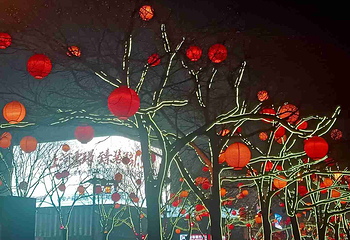 大唐不夜城第 265 张图片