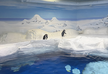 上海海洋水族馆第 142 张图片