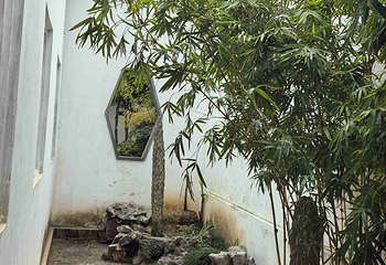 网师园第 106 张图片