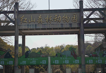 红山森林动物园第 162 张图片